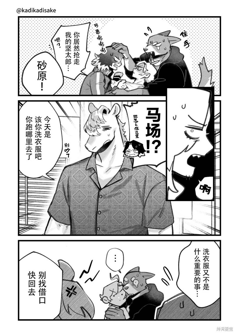 第5页