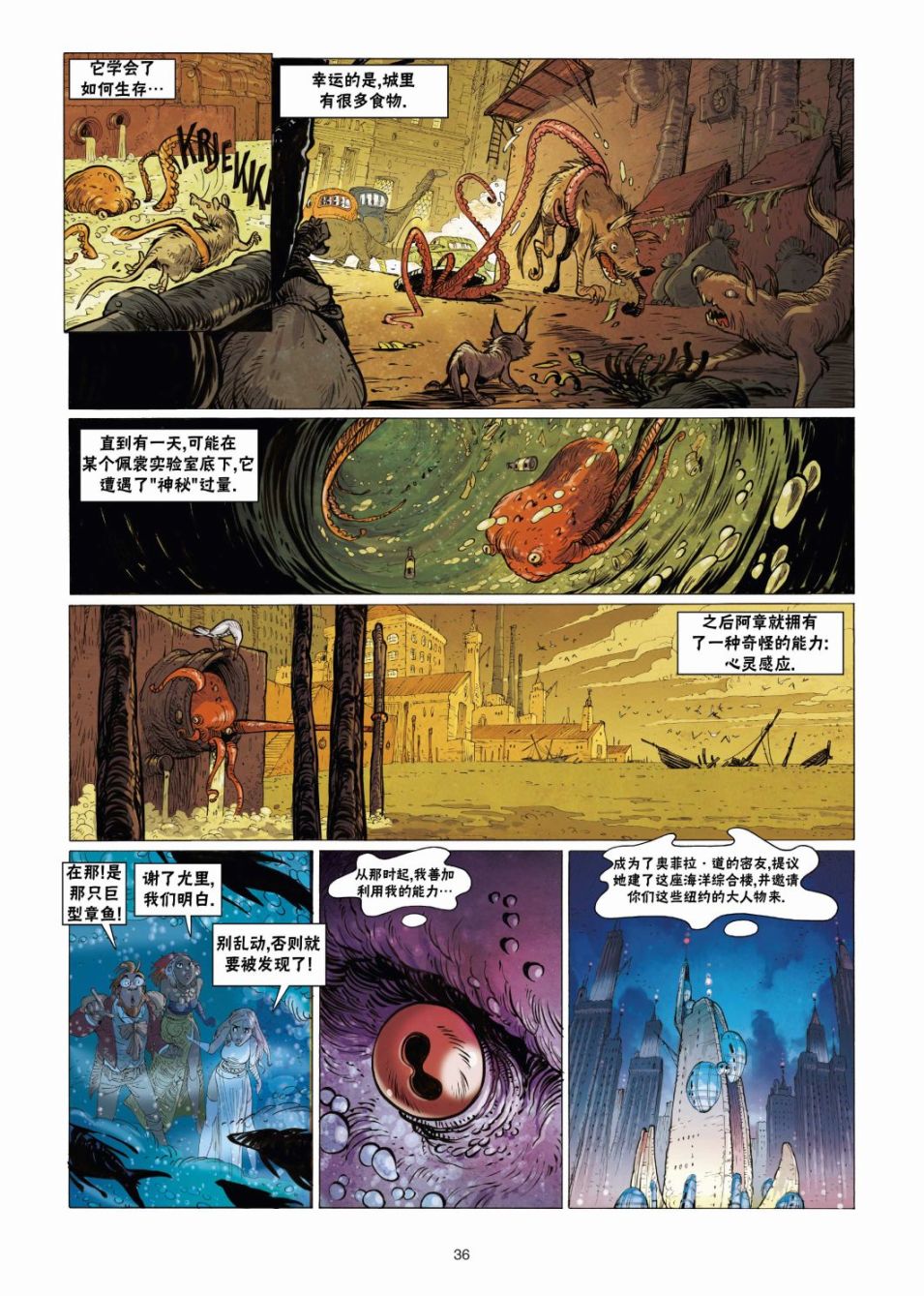 第36页