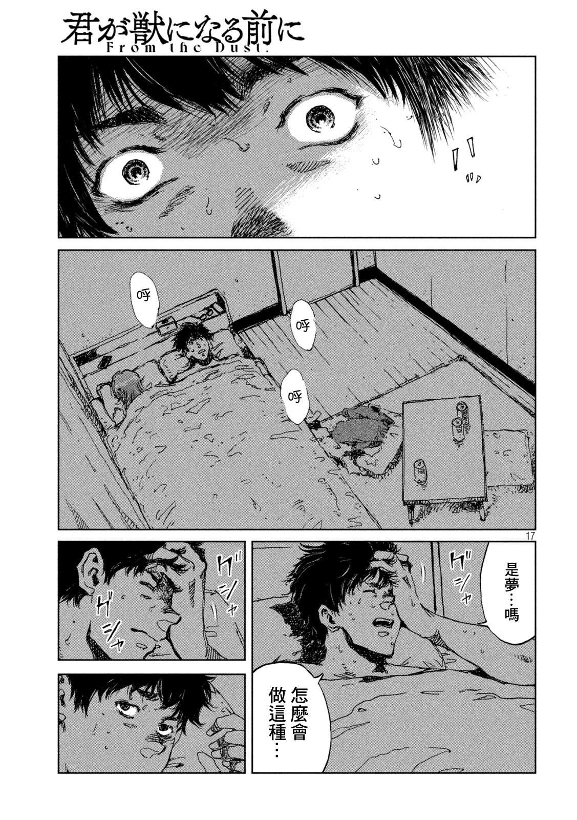 第17页