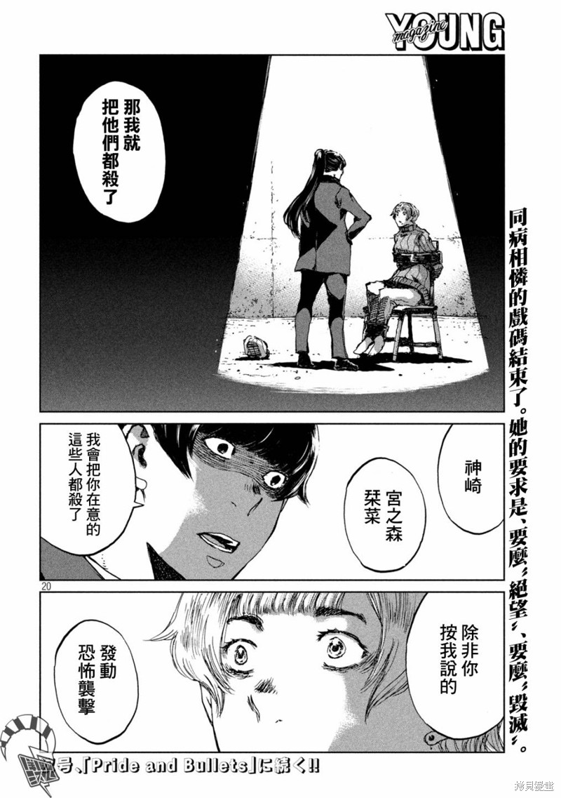 第20页
