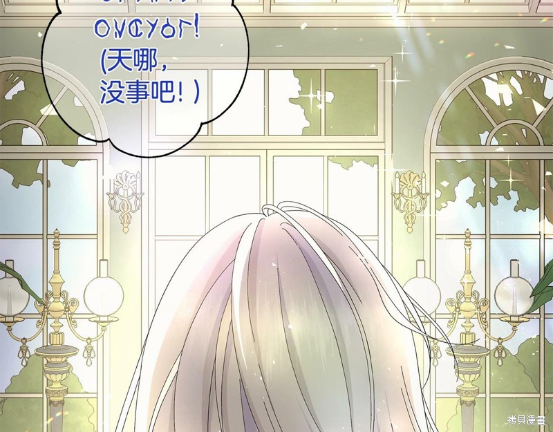 第233页