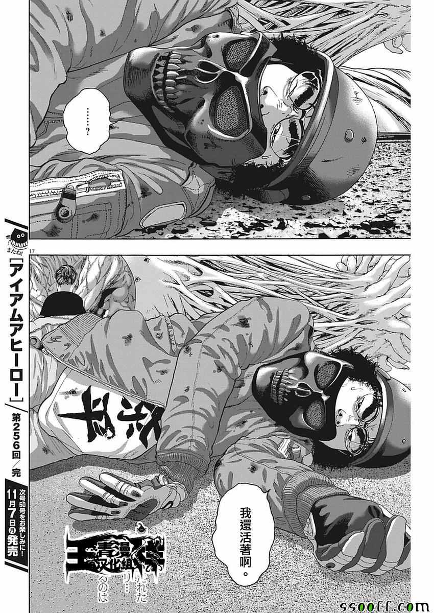 第17页