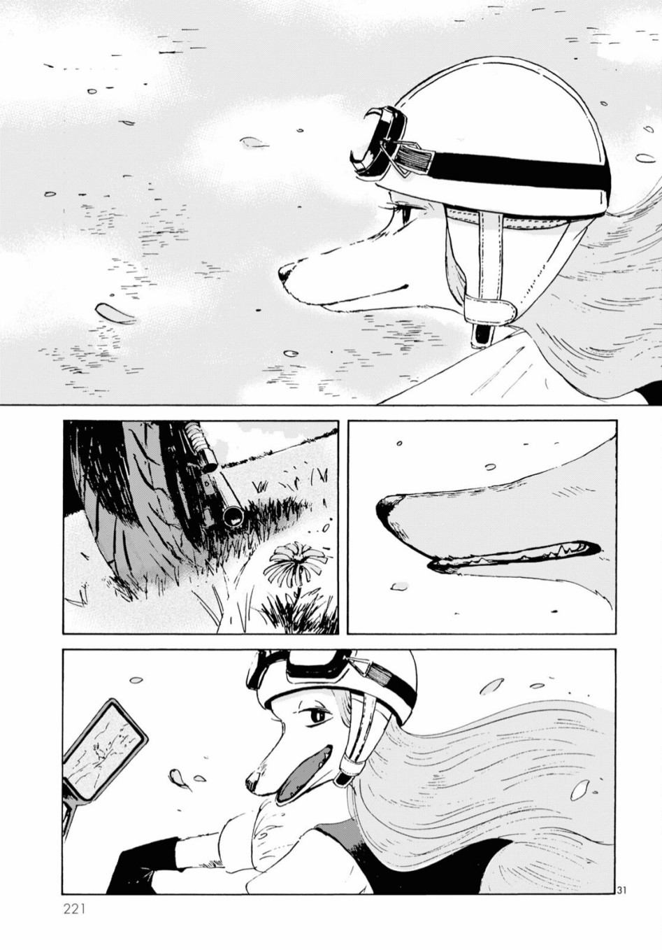 第31页