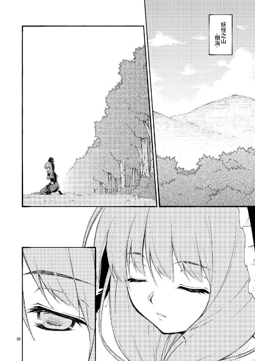 第30页