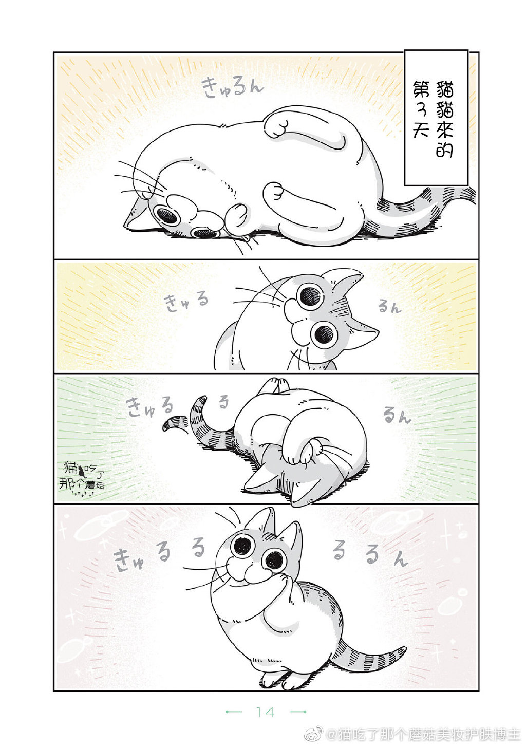 第12页