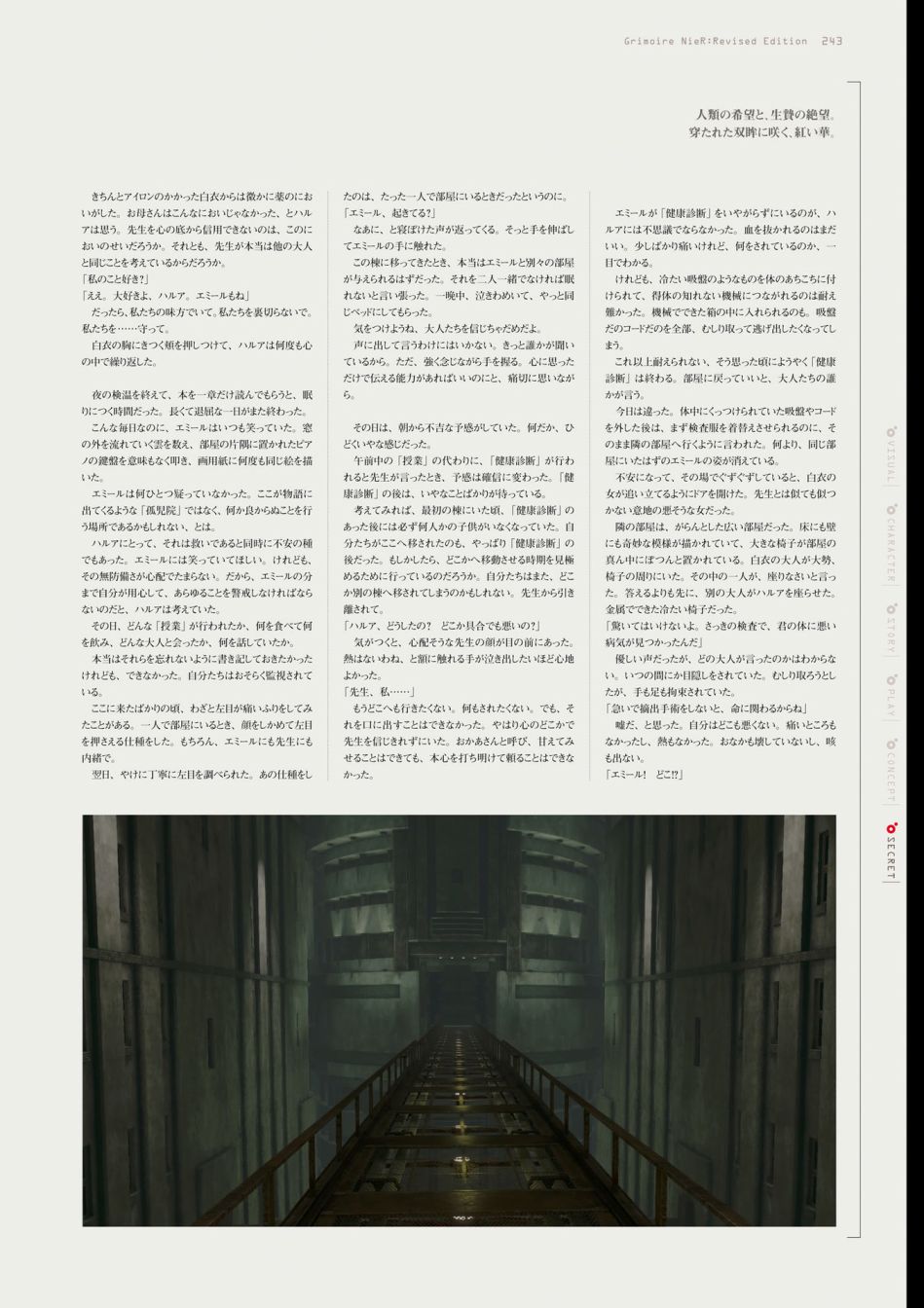 第245页