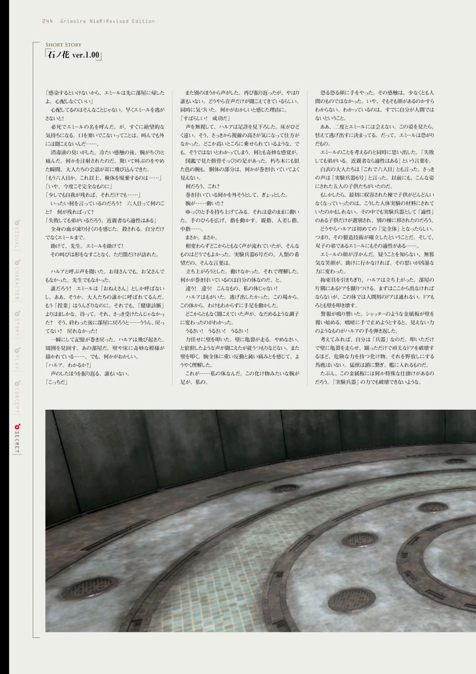 第246页