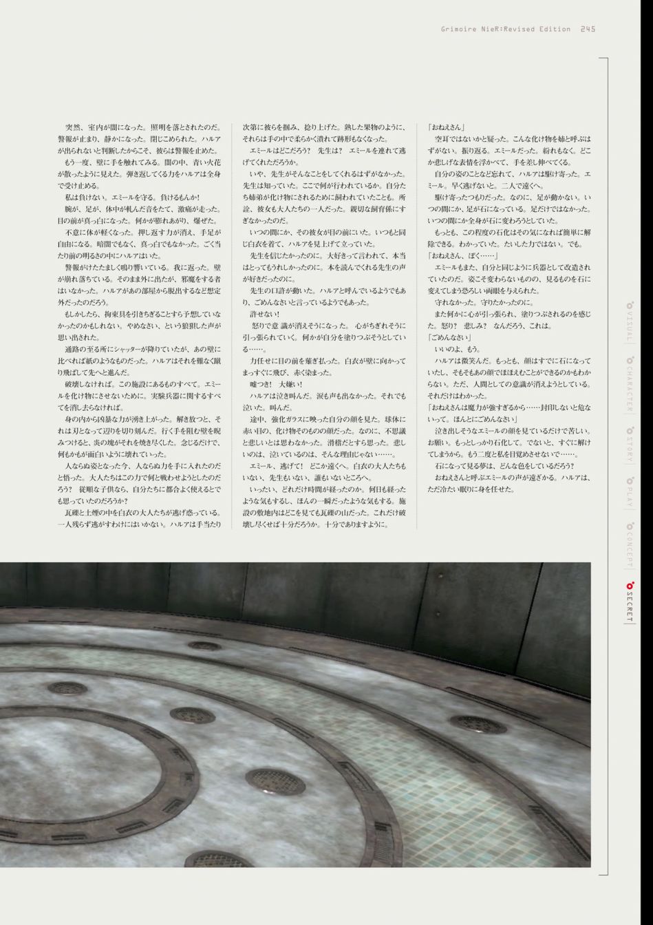 第247页