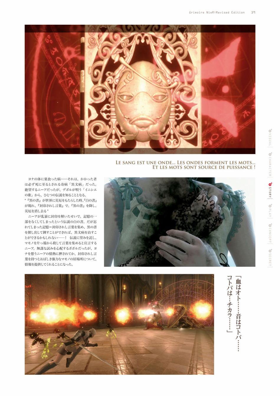 第41页