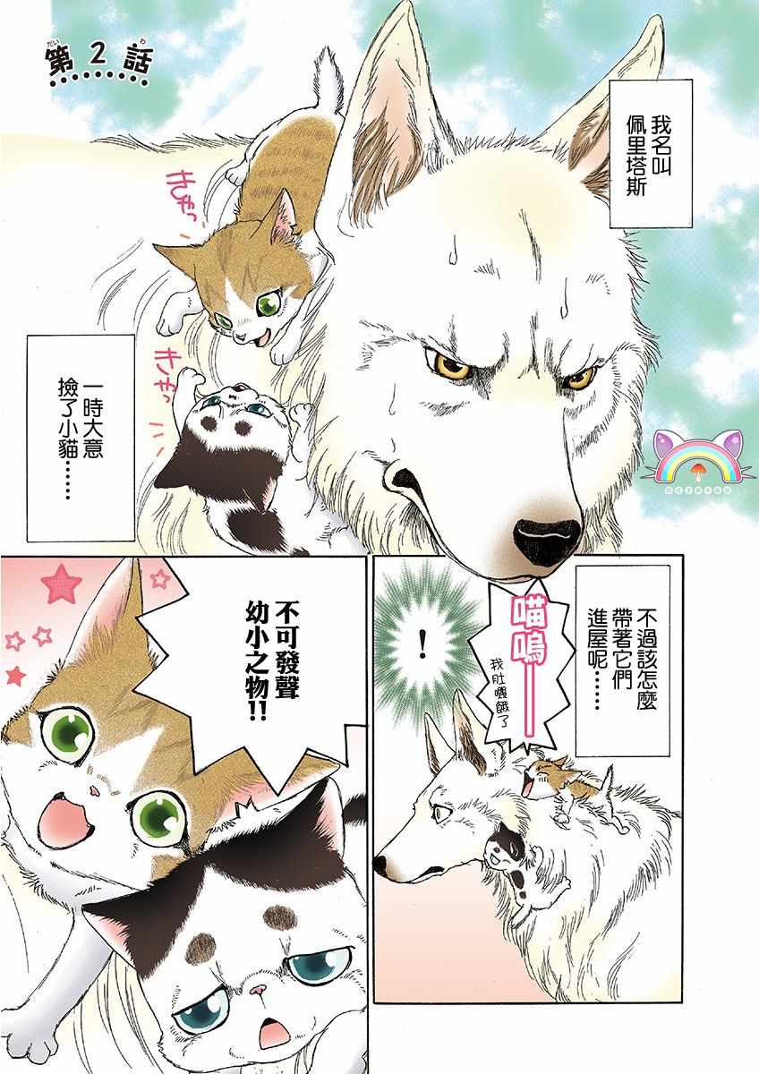 第2页