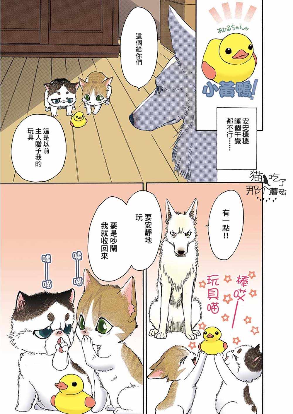 第3页
