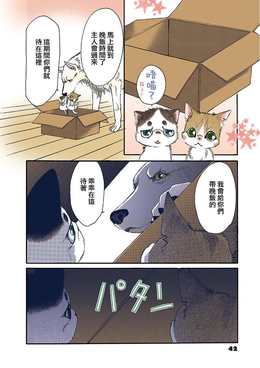第2页