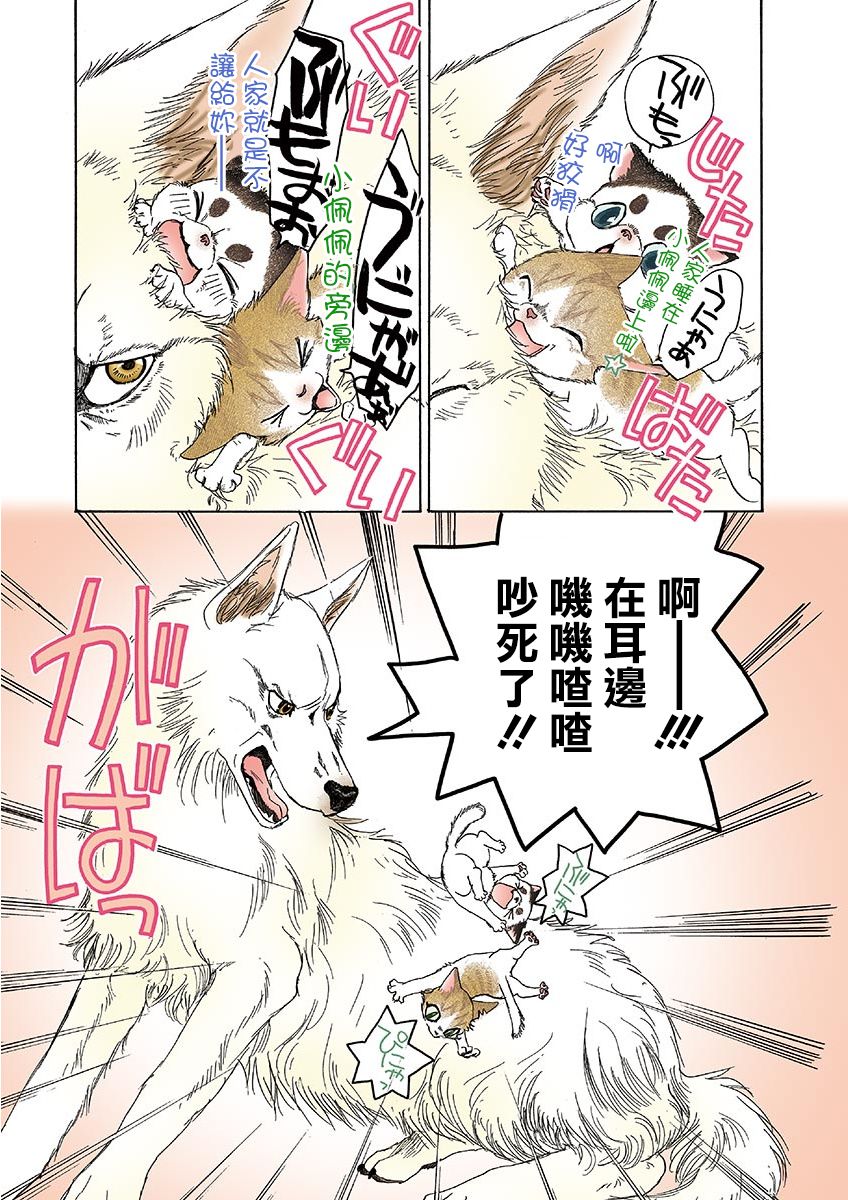 第3页