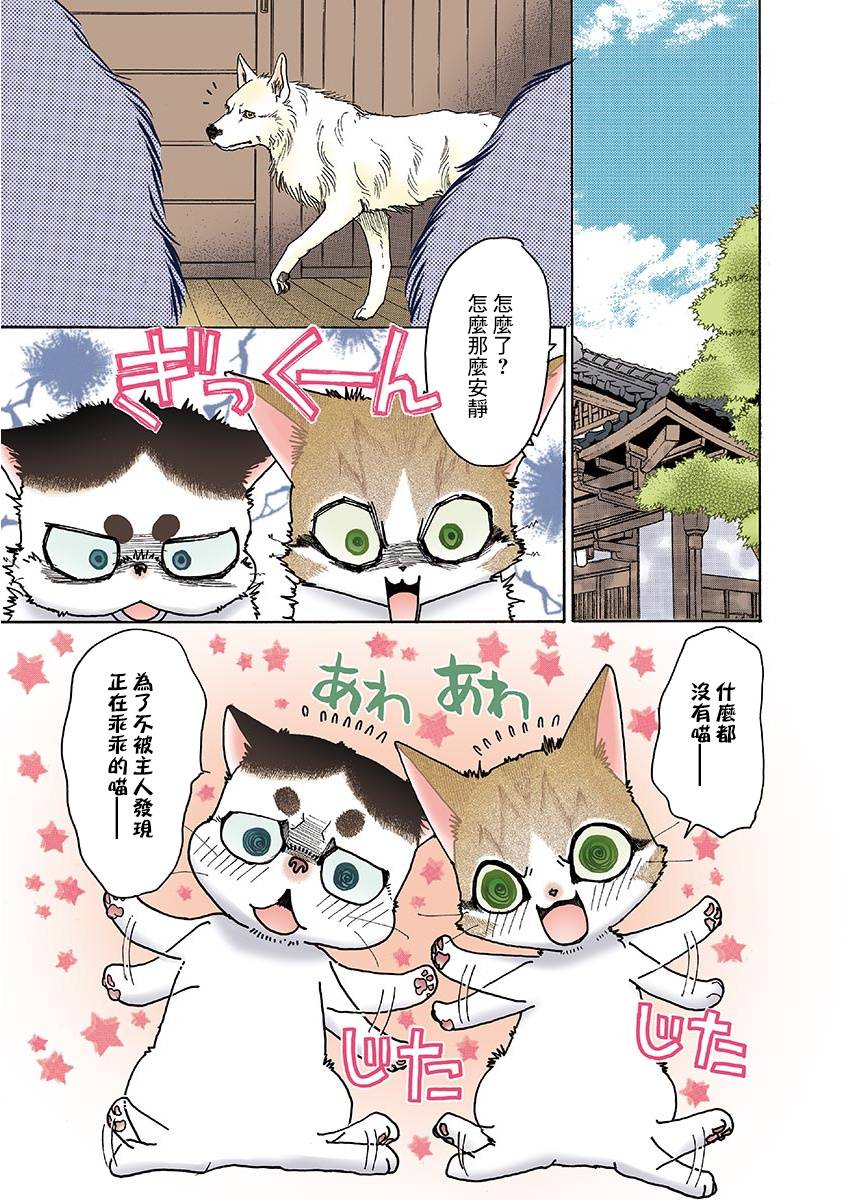 第3页