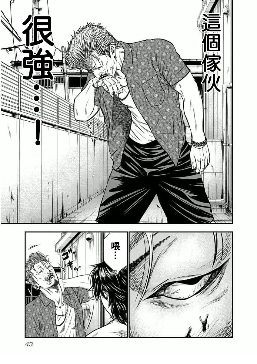 第43页