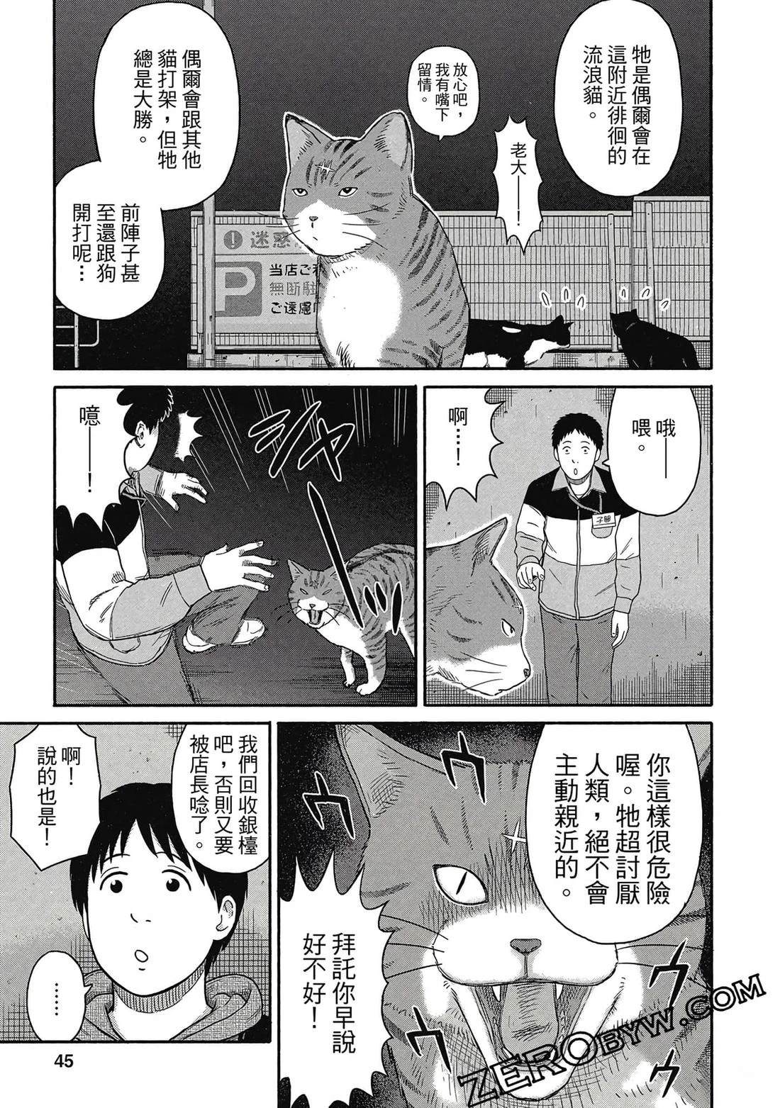 第46页