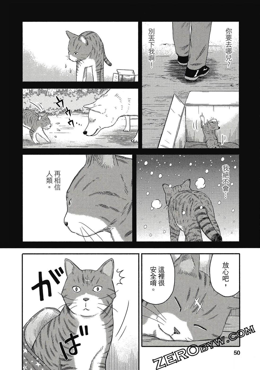 第51页