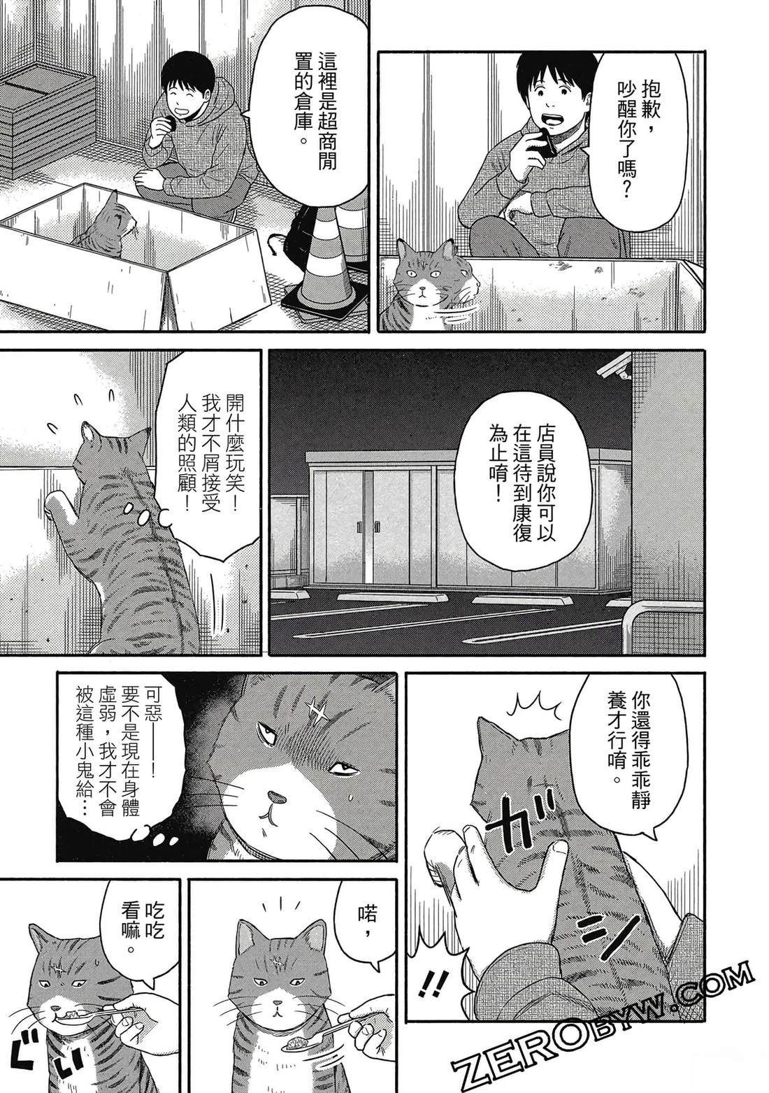 第52页