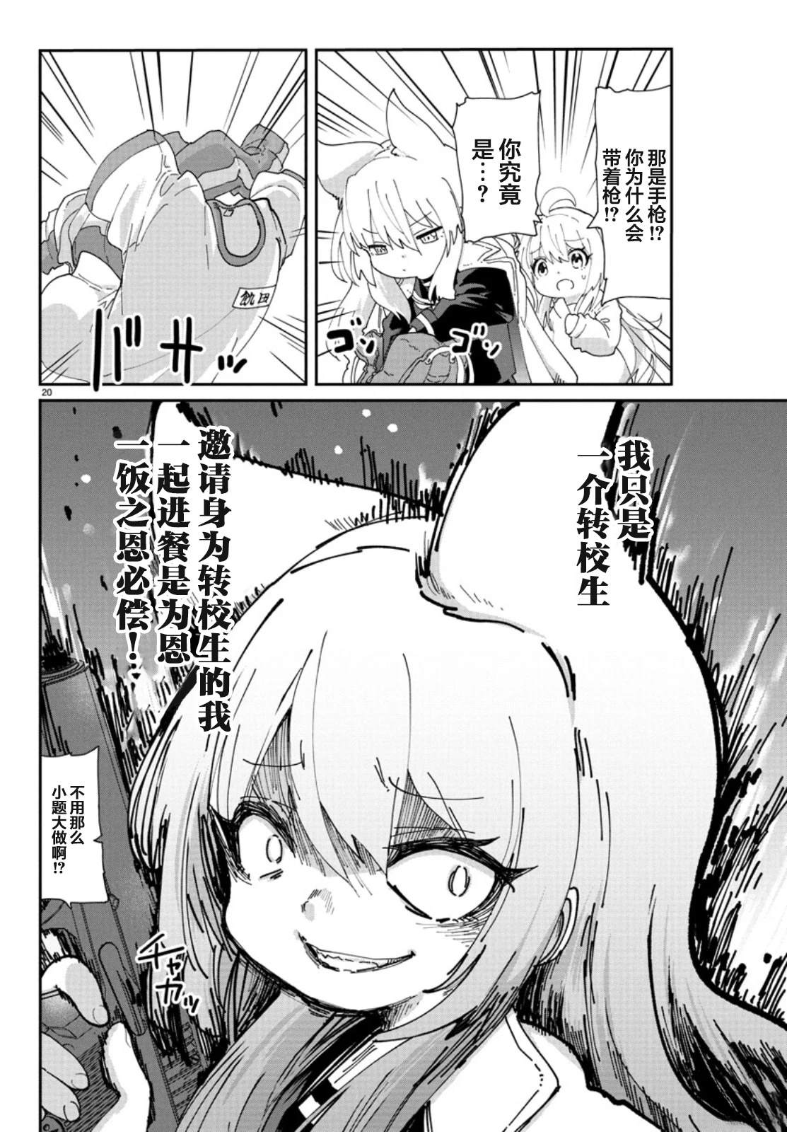 第20页