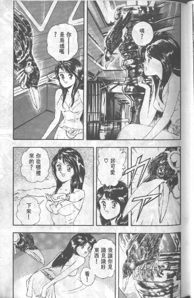 第51页
