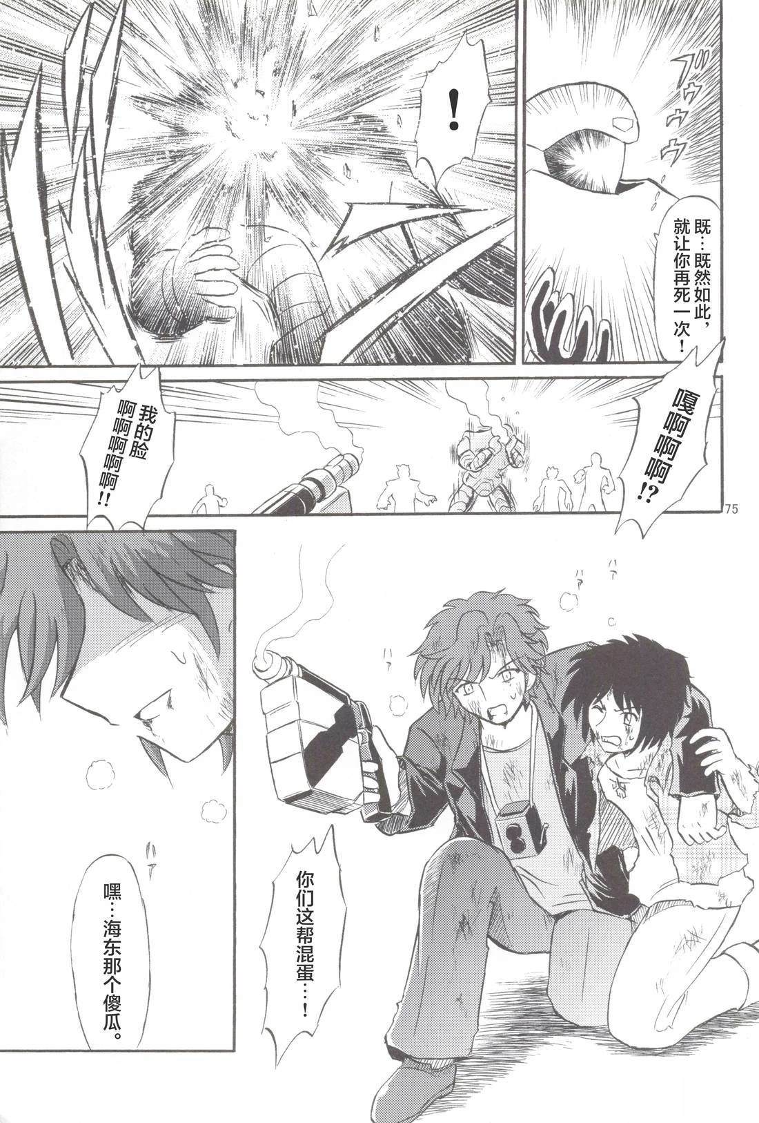 第67页