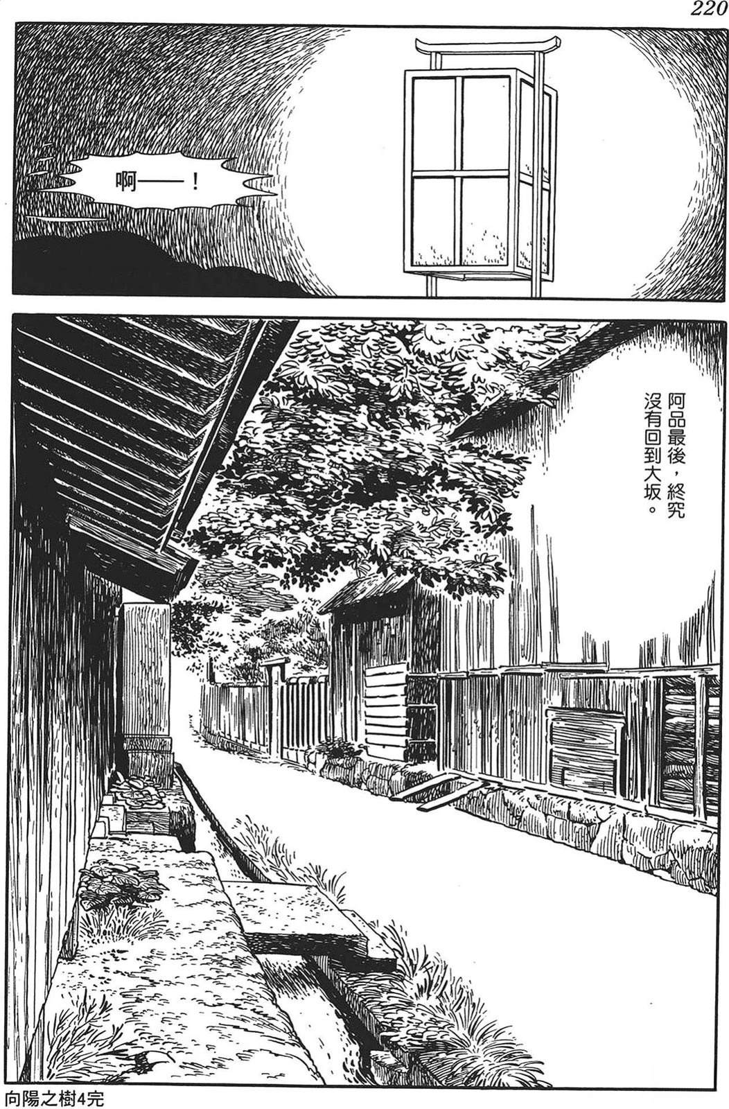 第221页