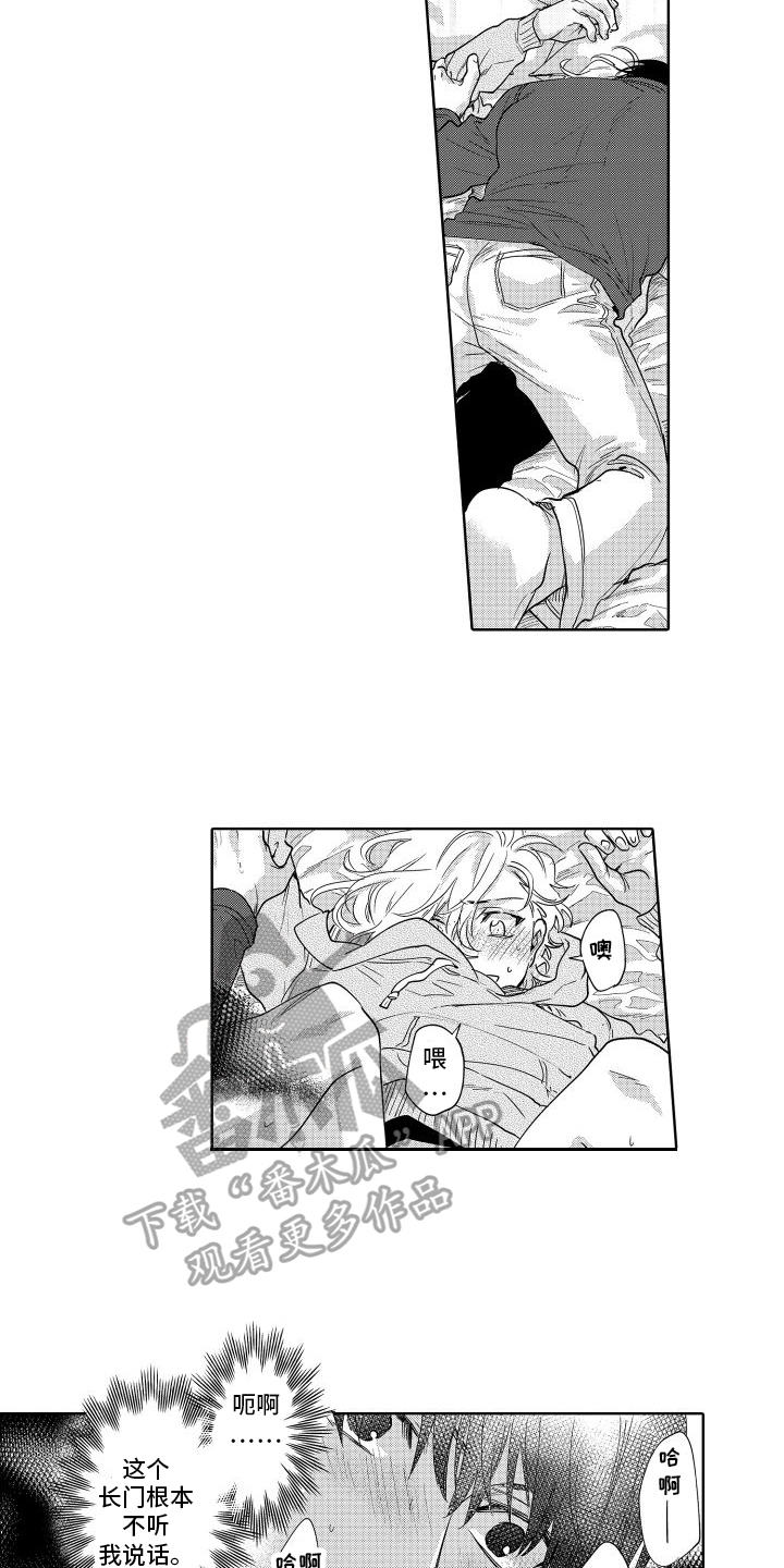 第11页