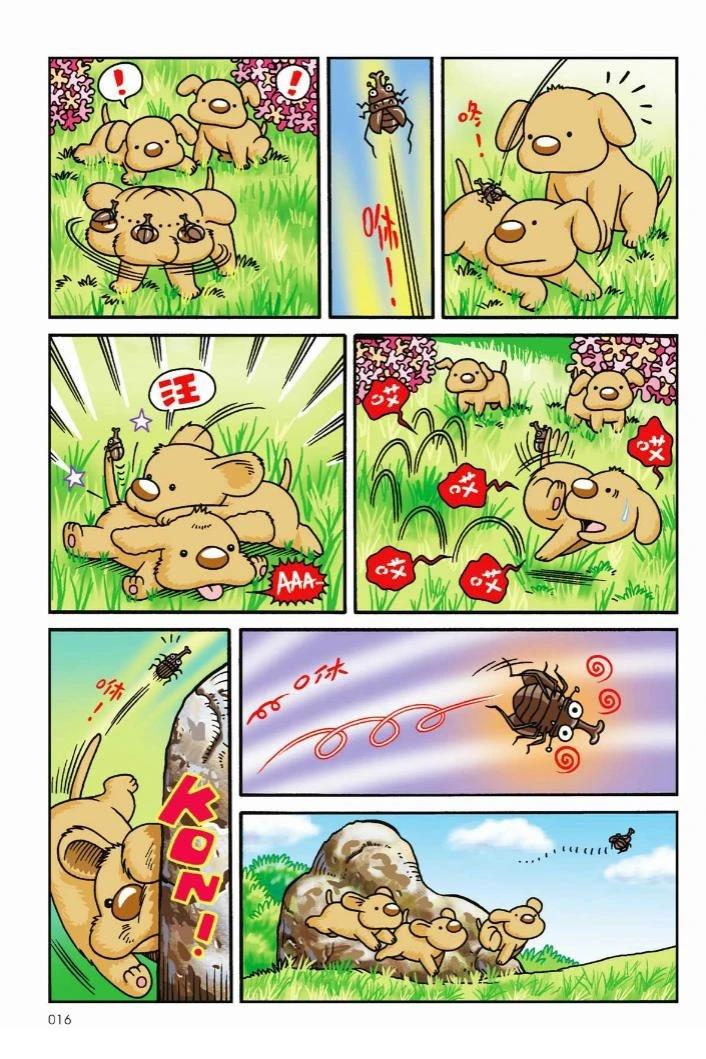 第13页