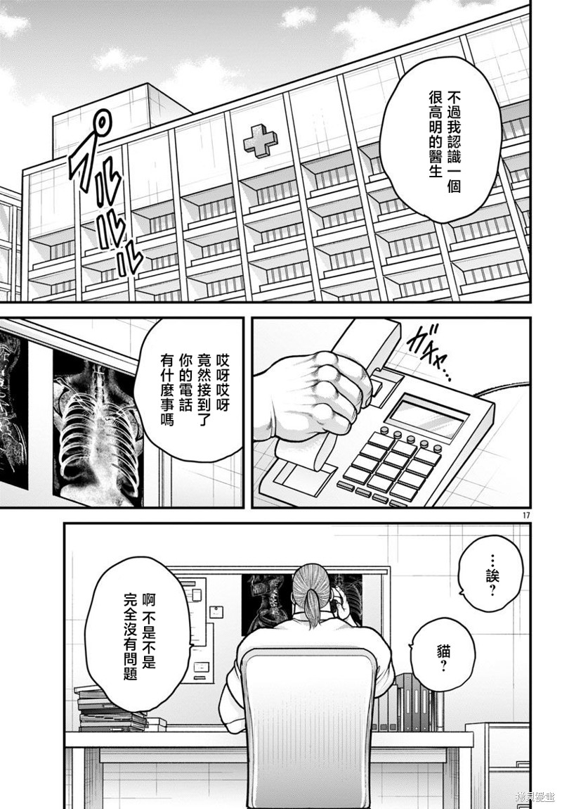 第17页