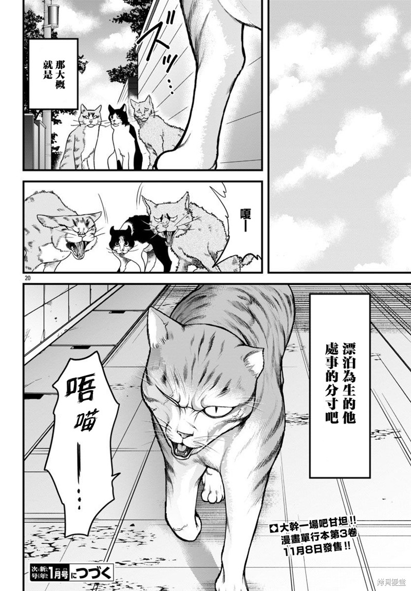 第20页