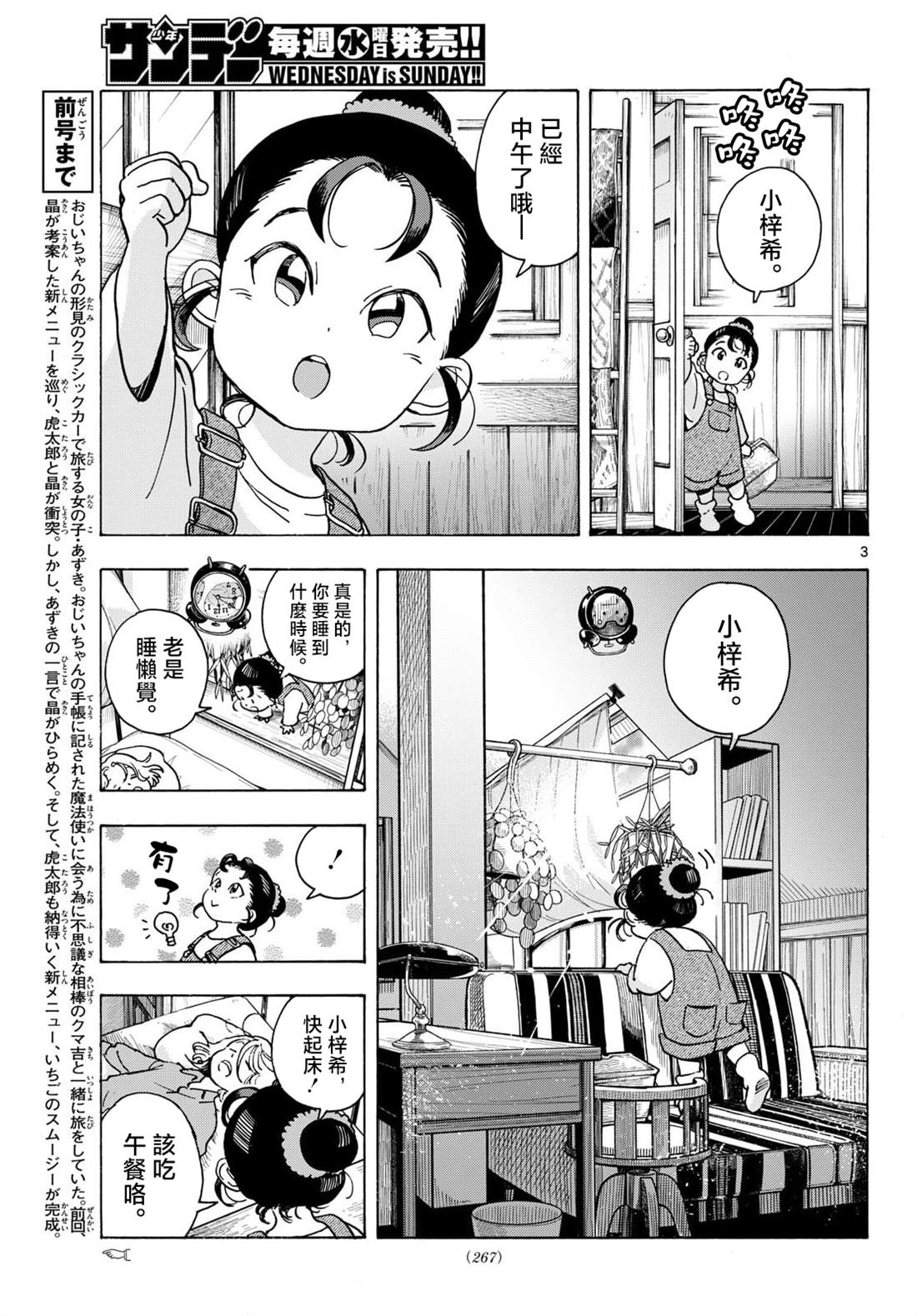 第3页