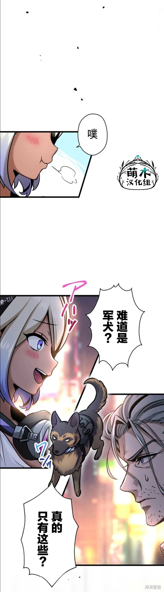 第45页