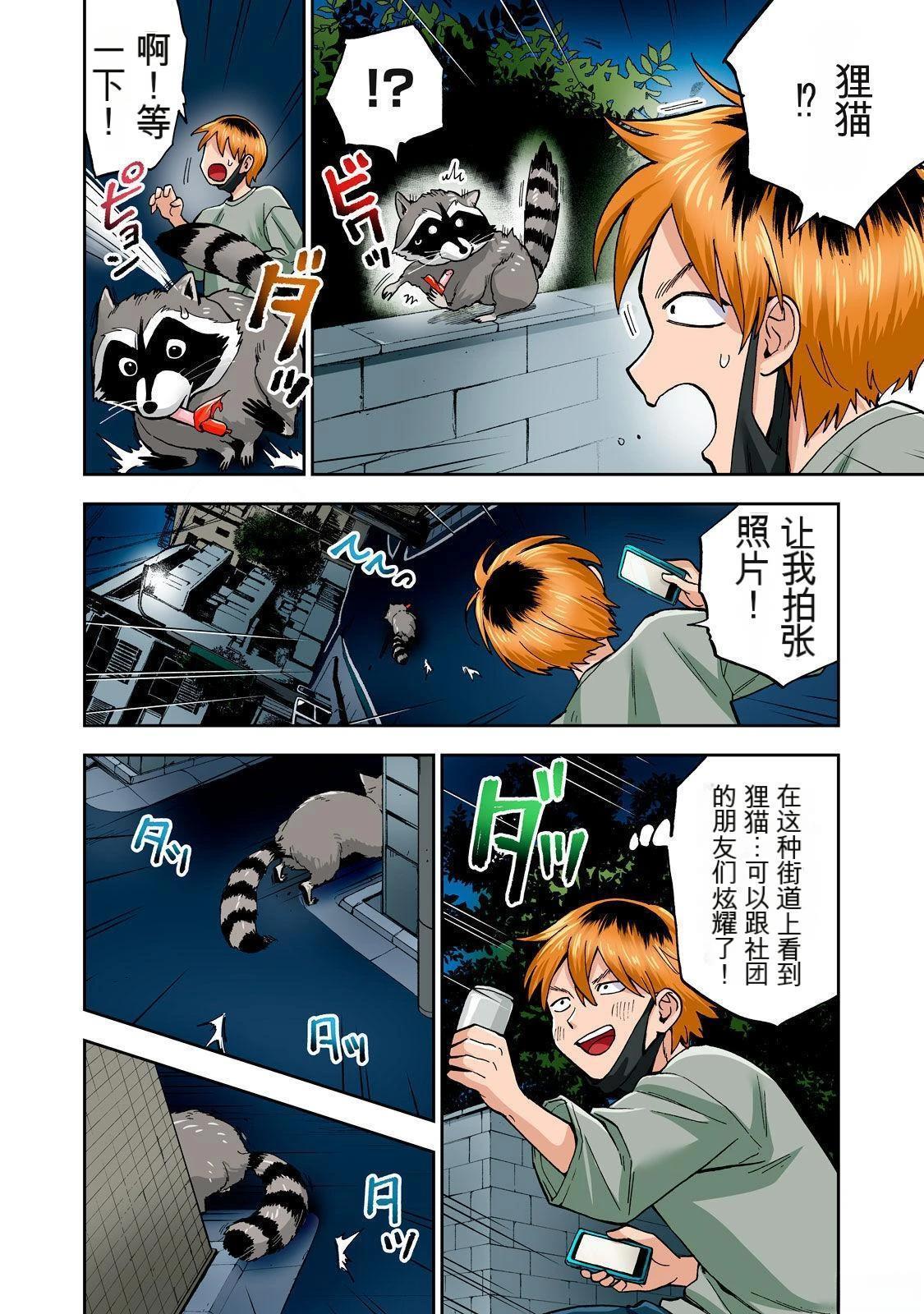 第50页