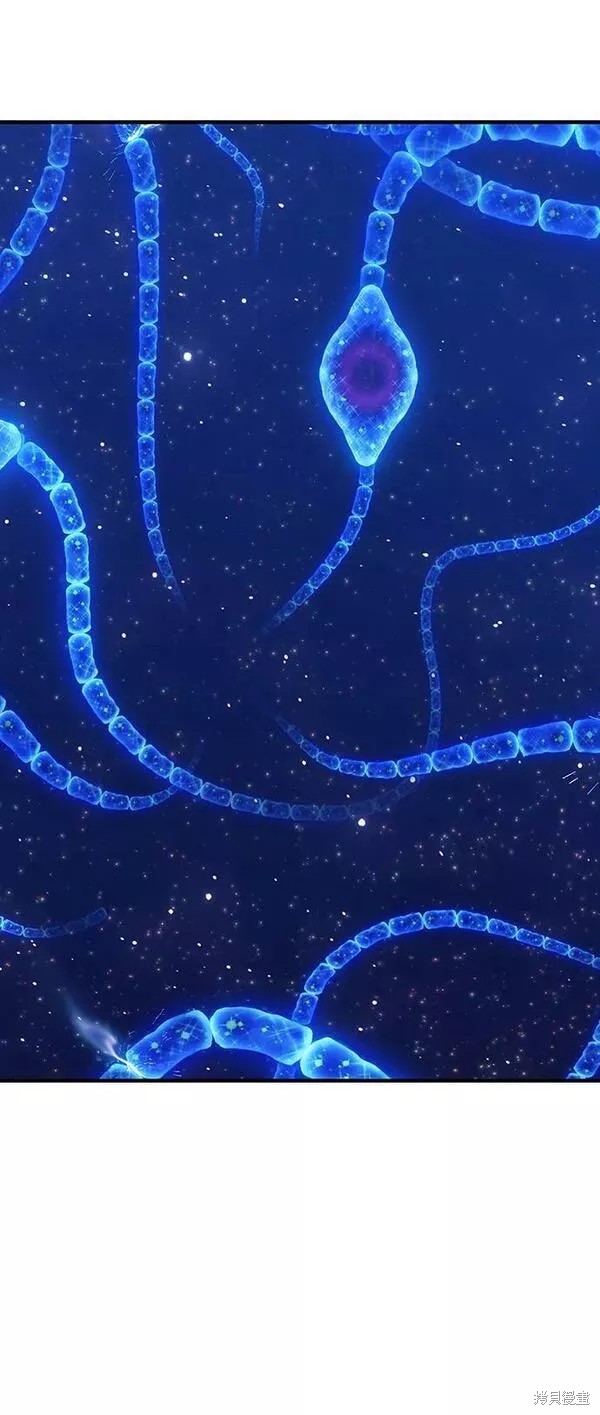 第232页