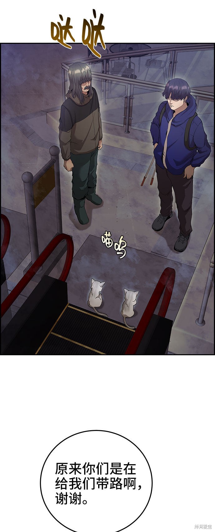 第54页