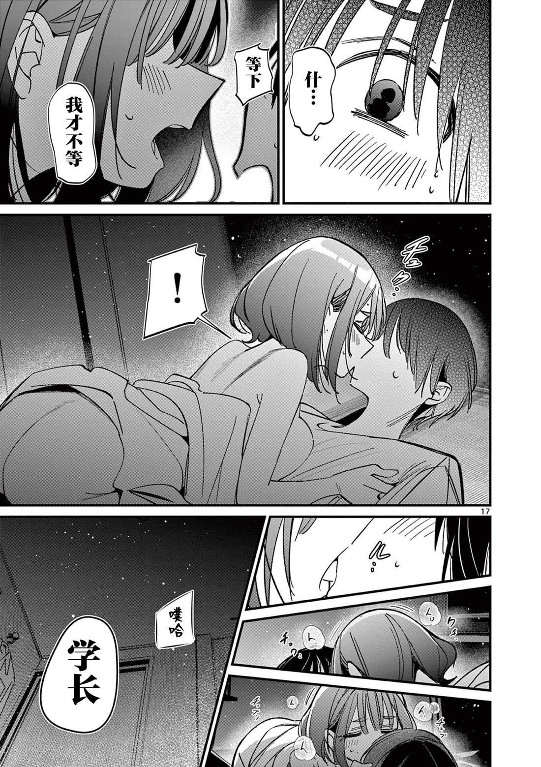 第17页