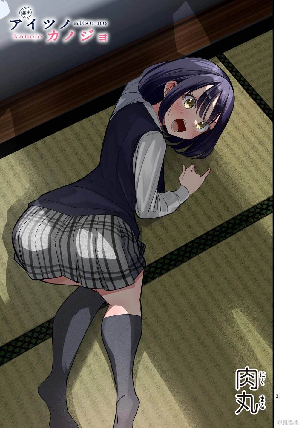 第3页