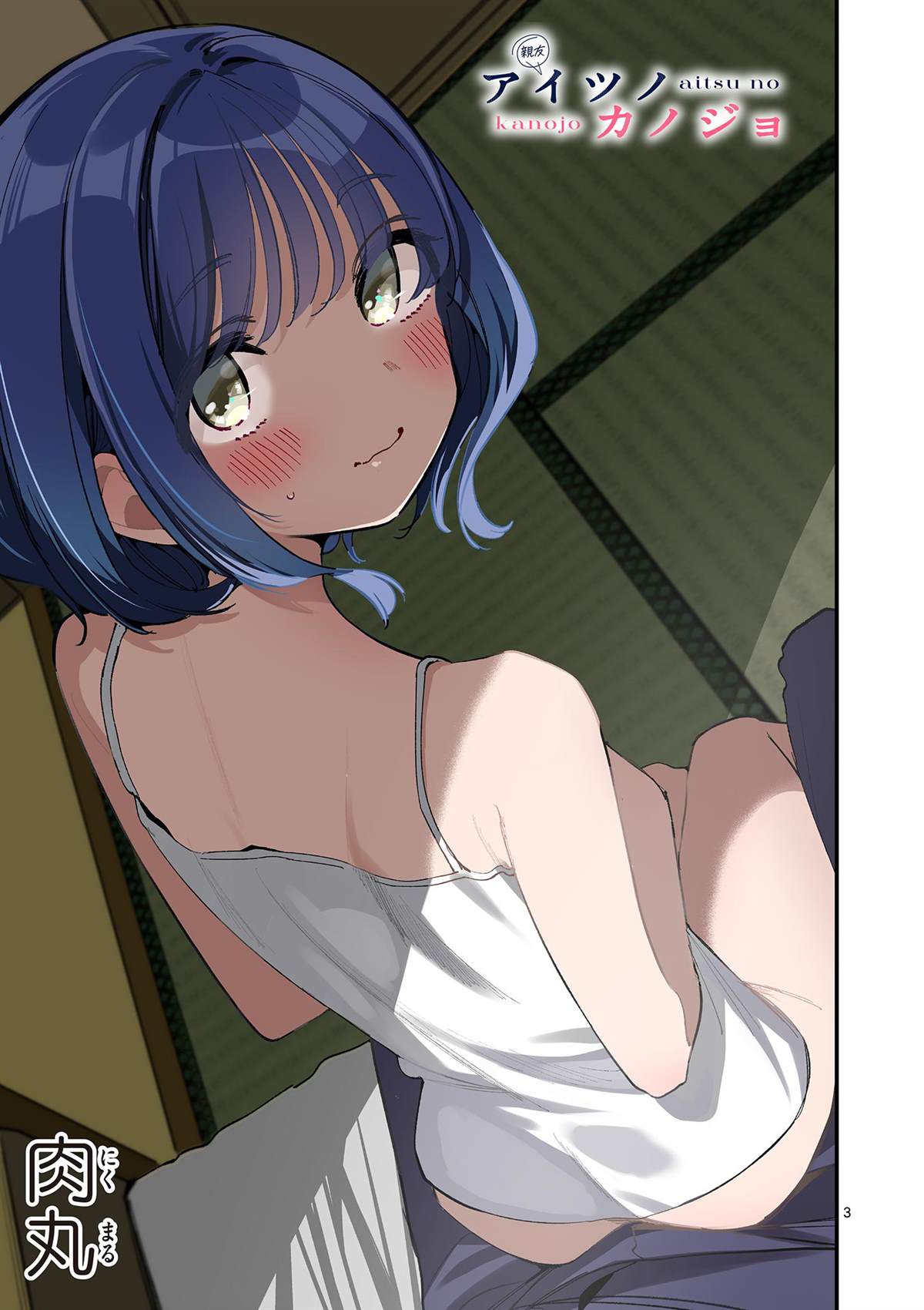 第3页
