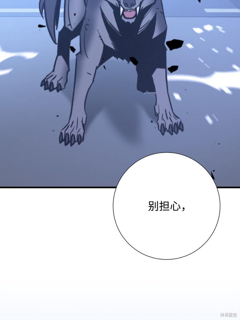 第137页