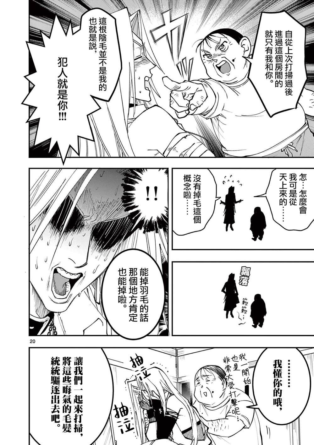 第20页