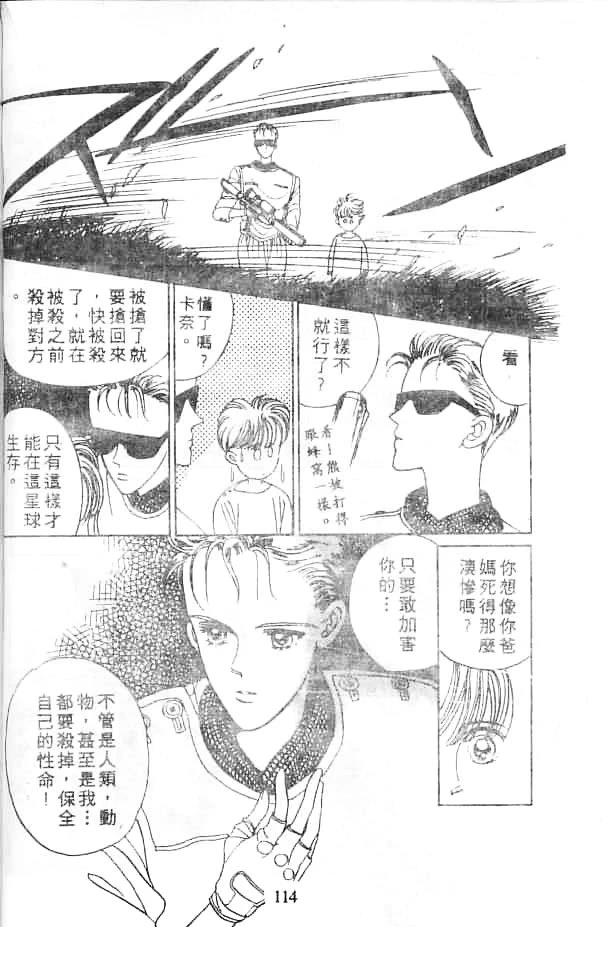 第113页