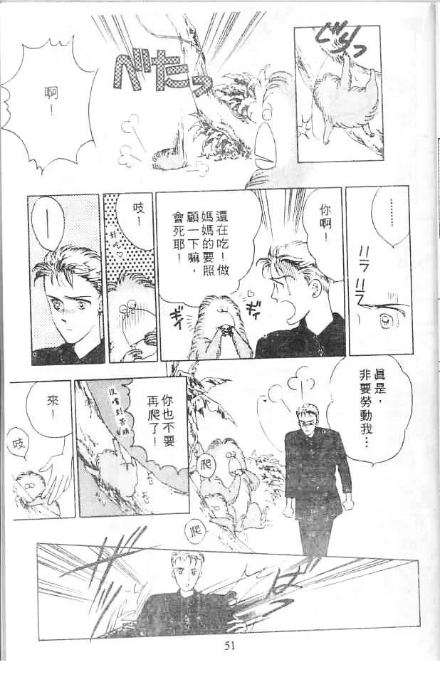 第51页
