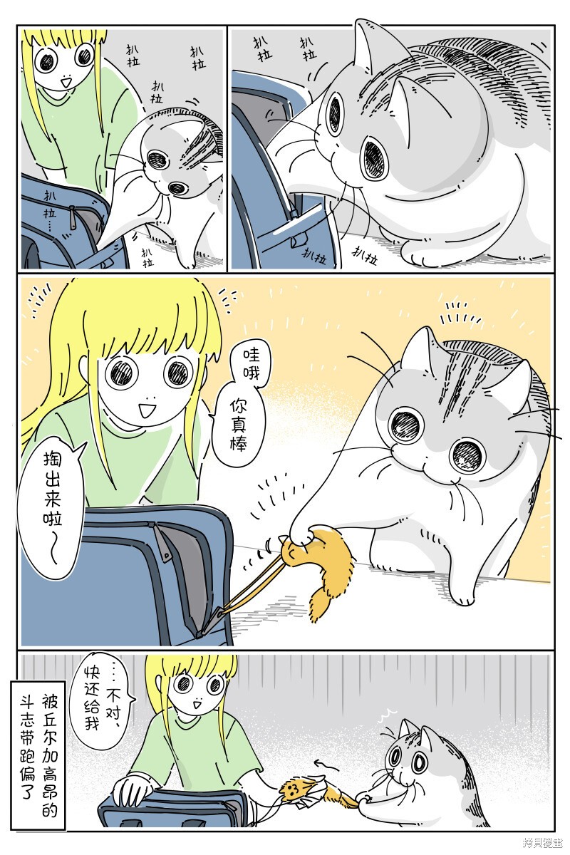 第3页