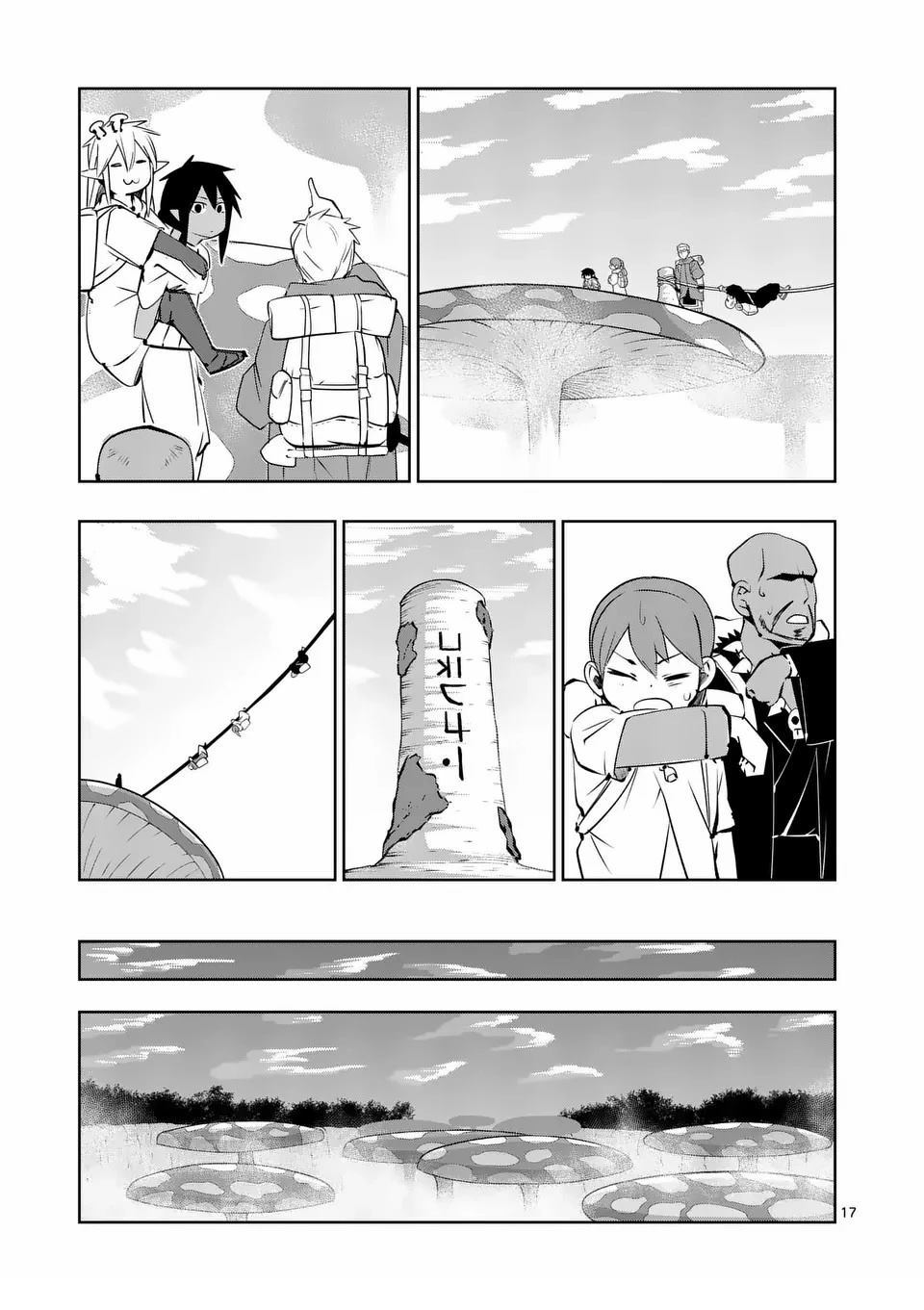 第17页