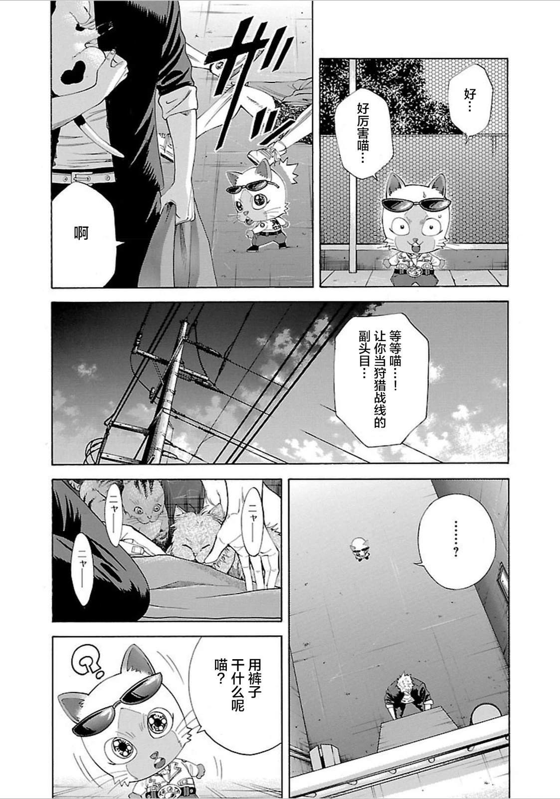 第43页