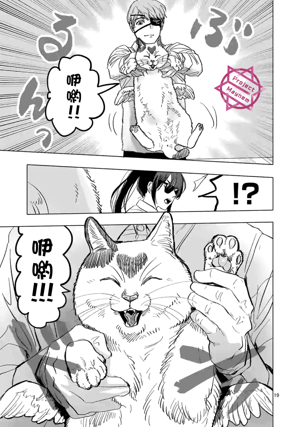 第19页