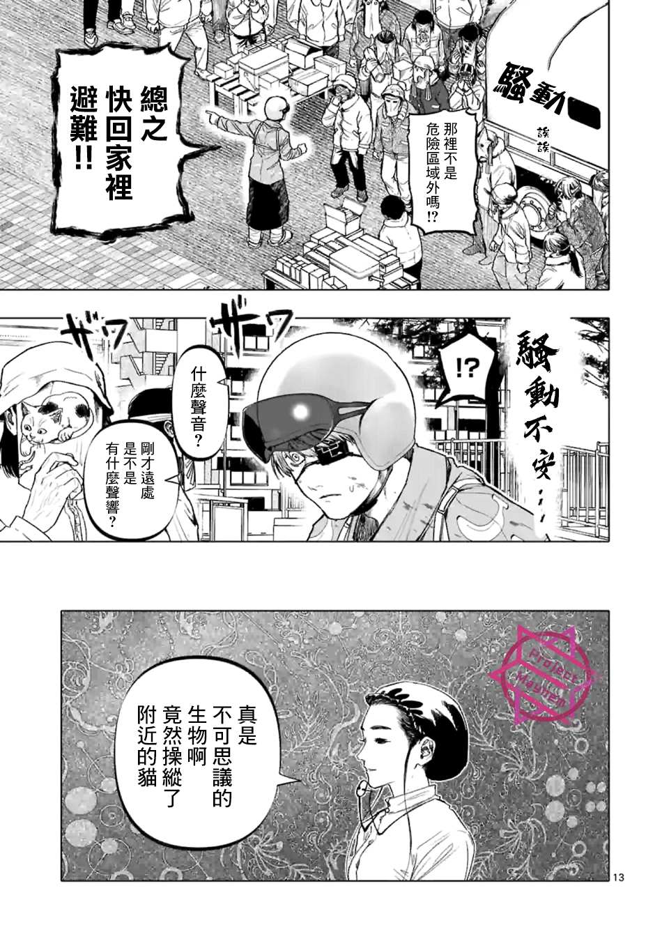 第13页