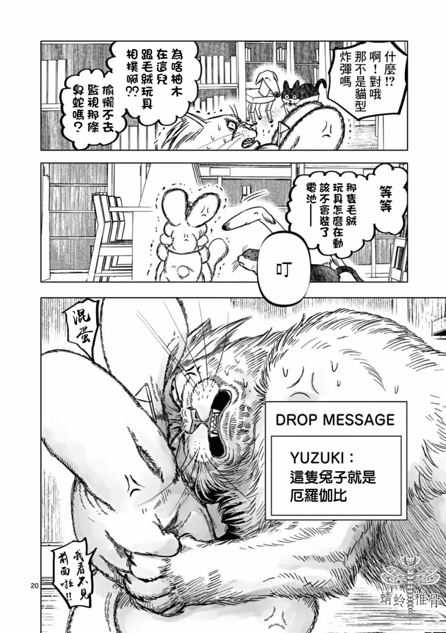 第20页