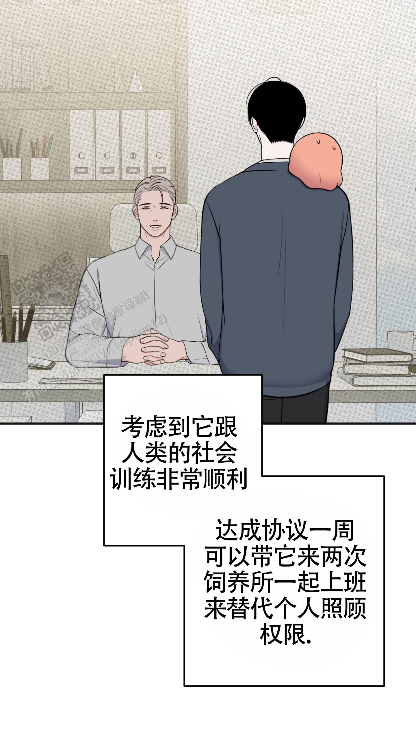 第40页
