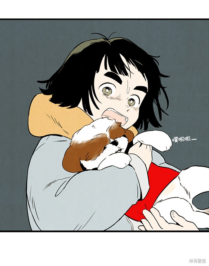 第146页